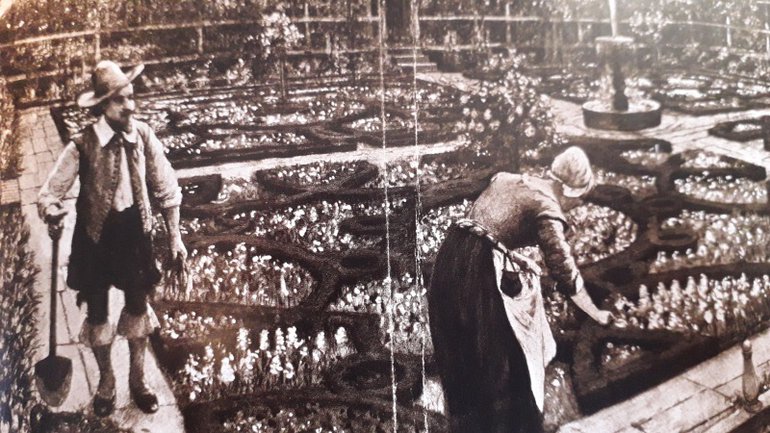 Amadee Forestier’s drawing in Ernest Law's book on his New Place Garden recreation