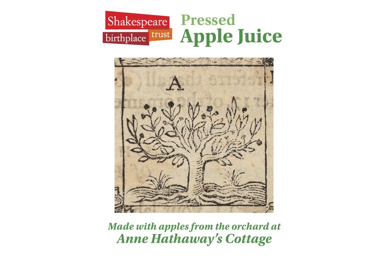 Apple picking at Anne Hathaway's Cottage