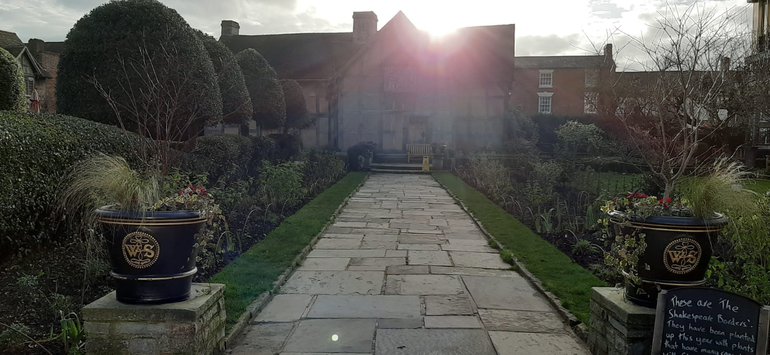 Birthplace holly hedge