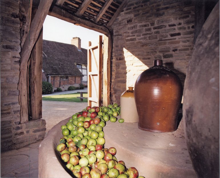 Cider Press