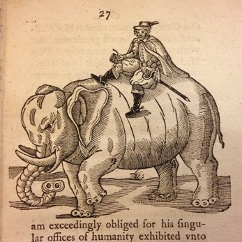 elephant upside down