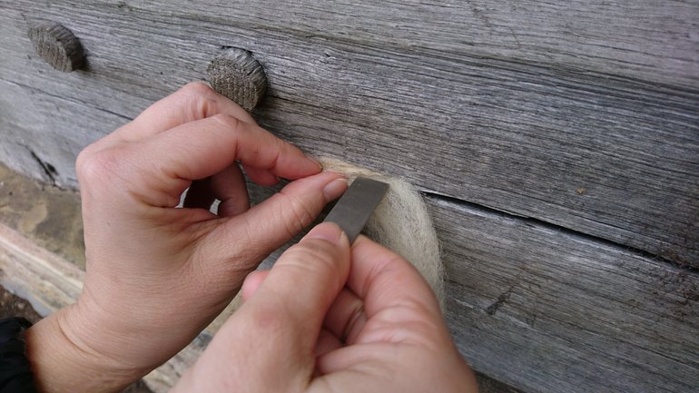 Hall's Croft Conservation 1