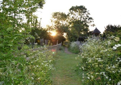 Early Morning Views at MAF