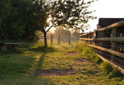 Early Morning Views at MAF