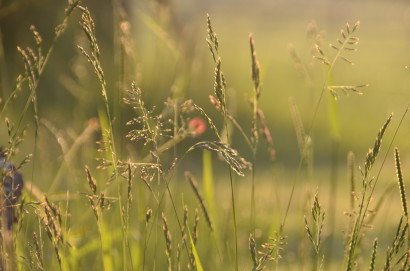 Early Morning Views at MAF