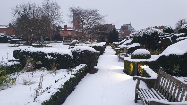 The raised beds at New Place covered in snow.