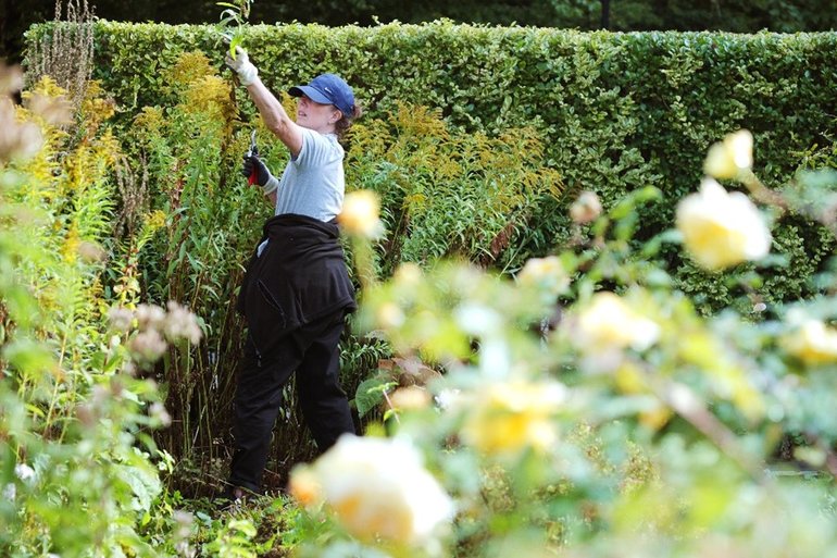 Gardens Volunteer