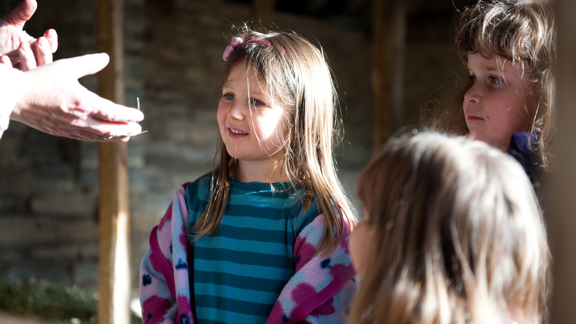 Home_Educators_bzwbN89.original