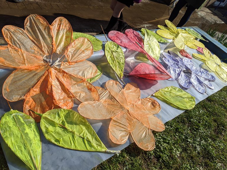 Isle of wight hub picture