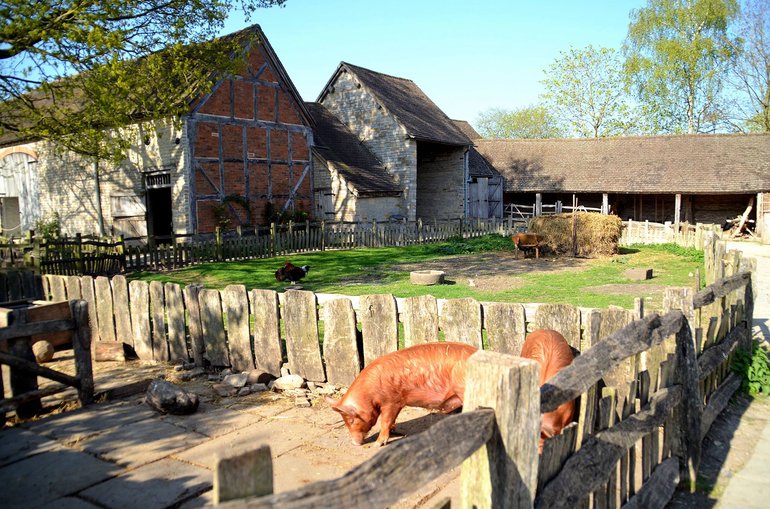 Farmyard