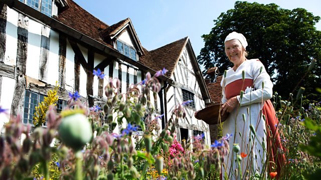 Palmer's farmhouse - the front, with beams and white wattle and daub, in herring bone pattern on the wing at the far end. In front is the flower garden, with one of the maids in a madder kirtle.