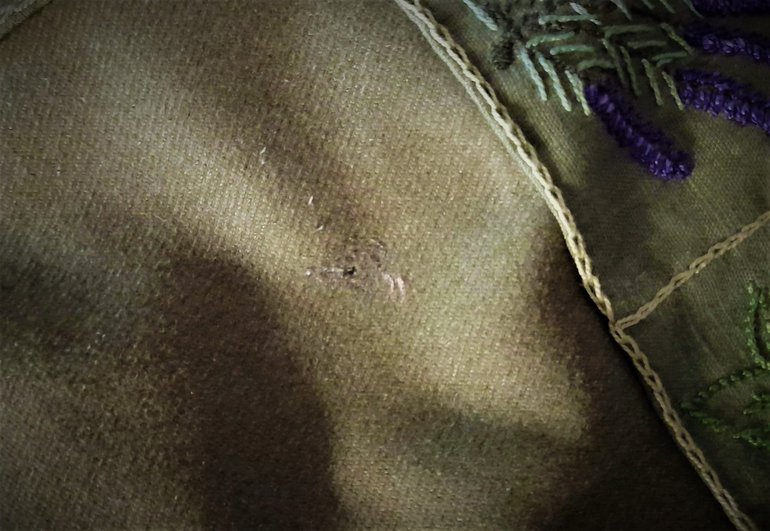 moth in bedcover.jpg