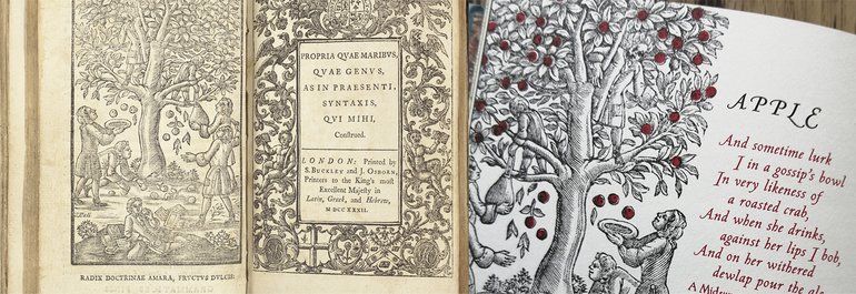 Motley Blog APPLES.jpg