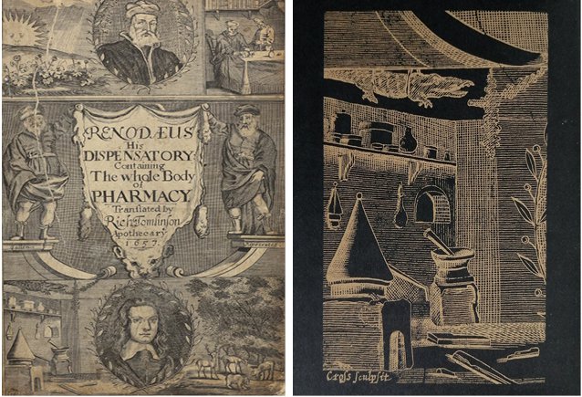 Motley Blog Montage 5.jpg