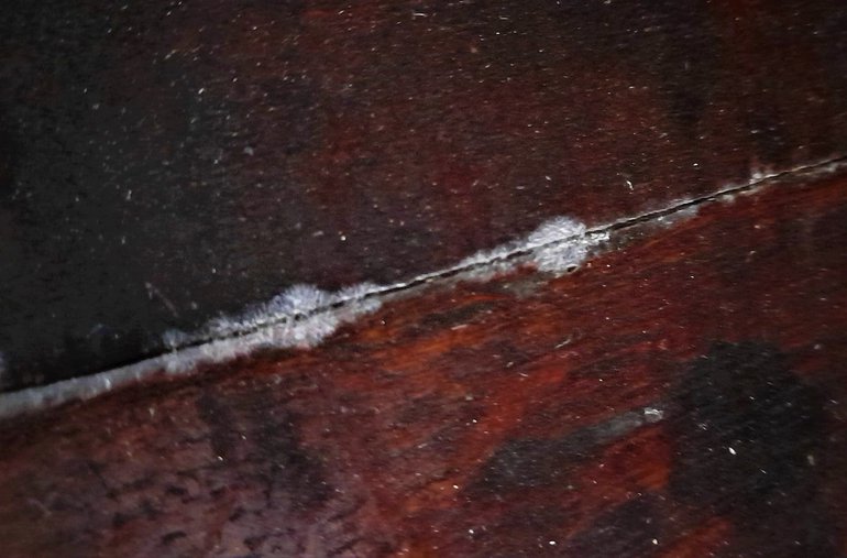 mould on furniture.jpg