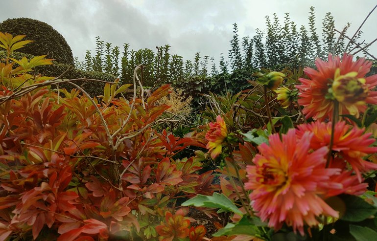 New Place, peony border