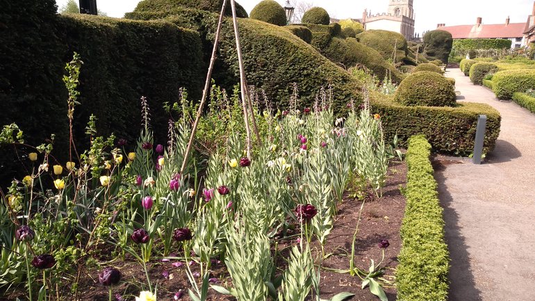 NP Borders planting - during