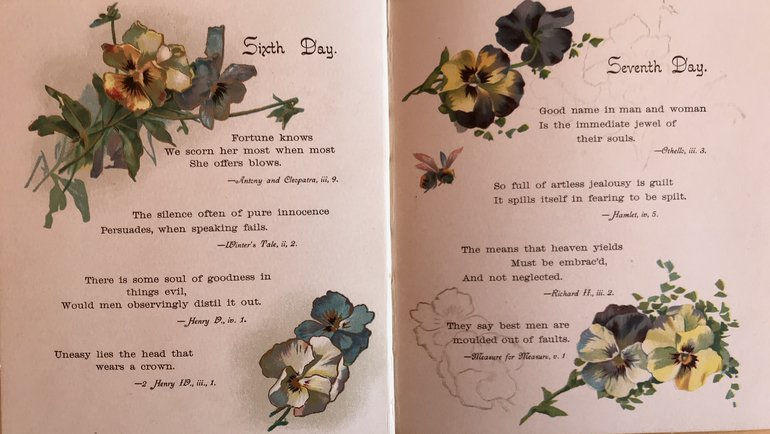 Pansies from Shakespeare Sixth and Seventh Day.jpg