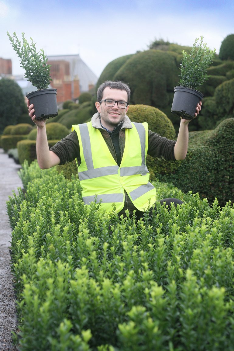 A gardener in a high-viz vest stand among the Spindle holding up two potted specimens yet to be planted.