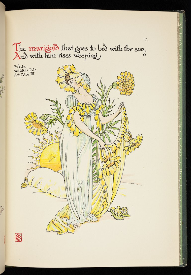 sbt-56-cra-83199179-flowers-from-shakespeare-s-garden-crane-1909-plate-15-marigold.jpg