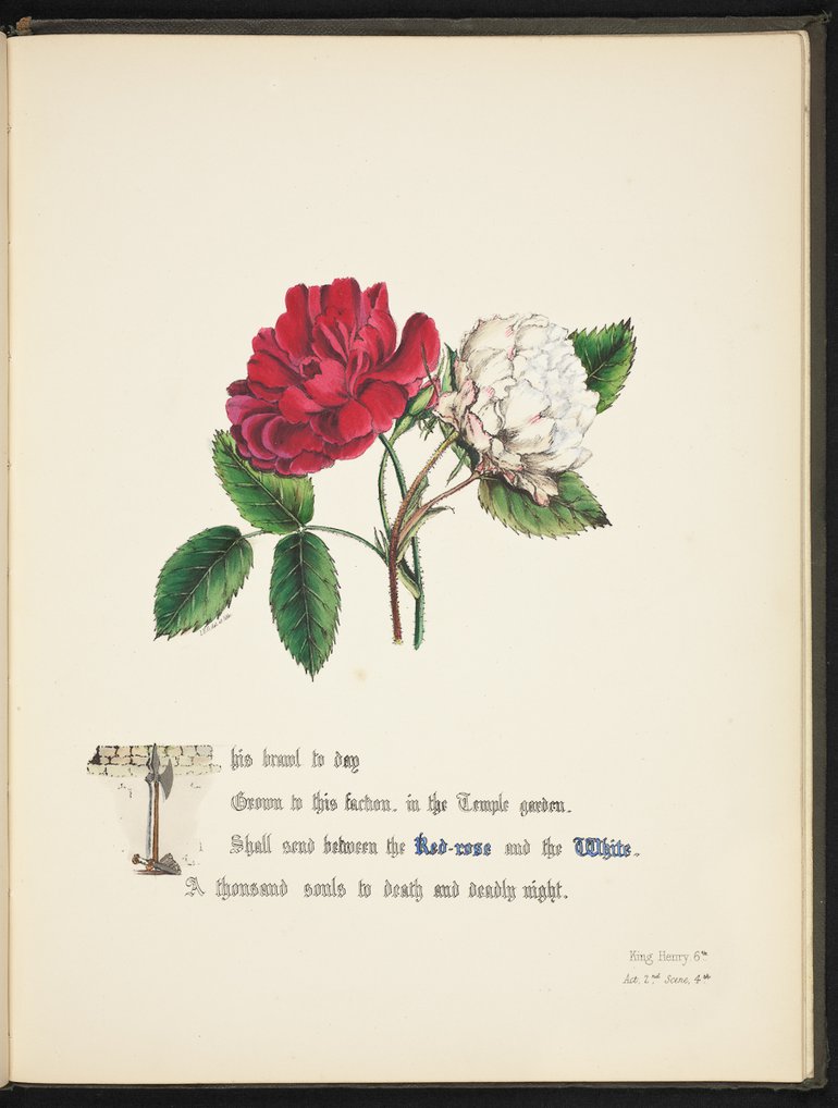 sbt-os-56-83039953-flowers-of-shakespeare-1845-plate-28.jpg