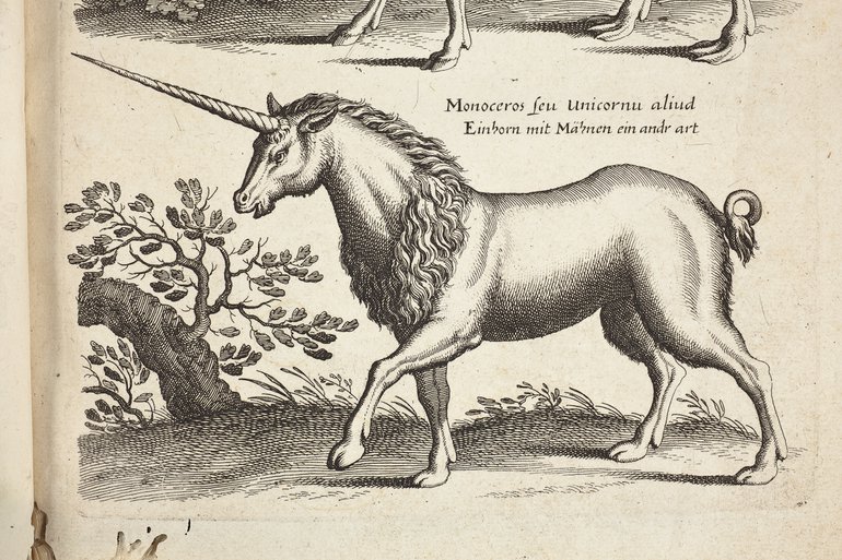 historiae-naturalis-unicorn