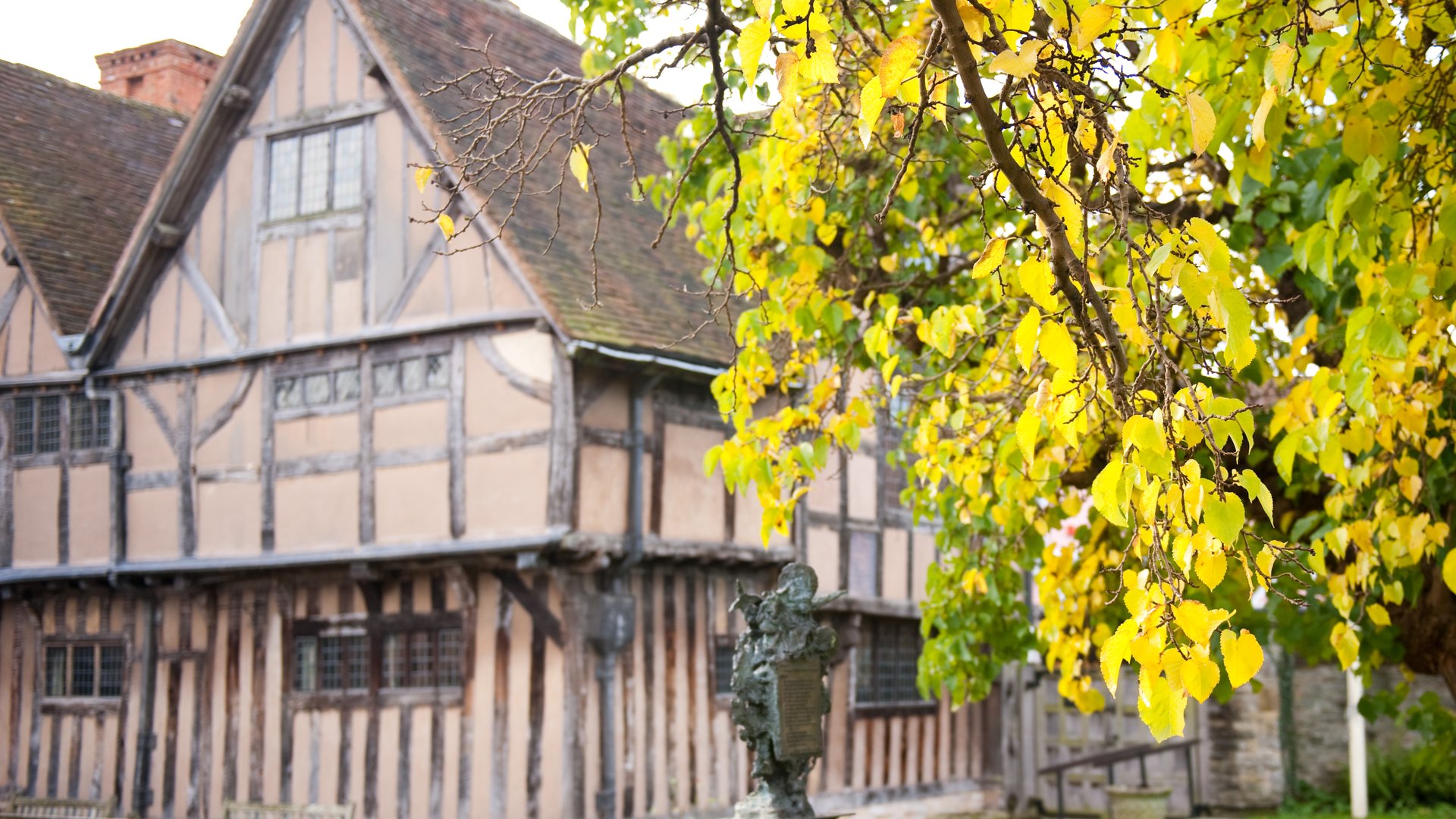 SBT (c) Amy Murrell 2010-74