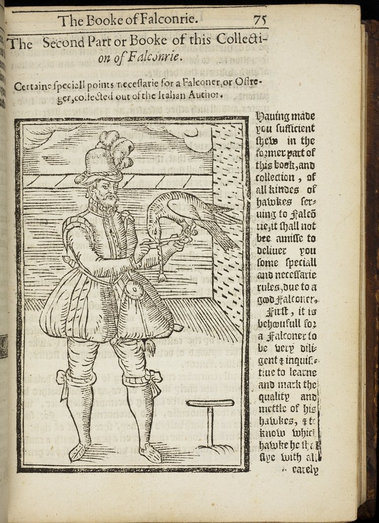 SR 90.1 Book of Falconry 1611