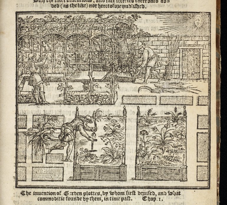 the gardeners labyrinth