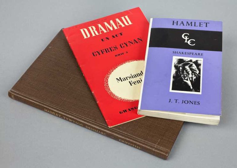 Group photo Welsh translations