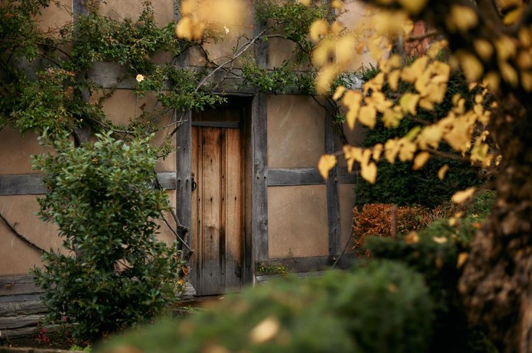 Shakespeare's Birthplace image