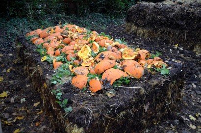Smashed Pumpkins
