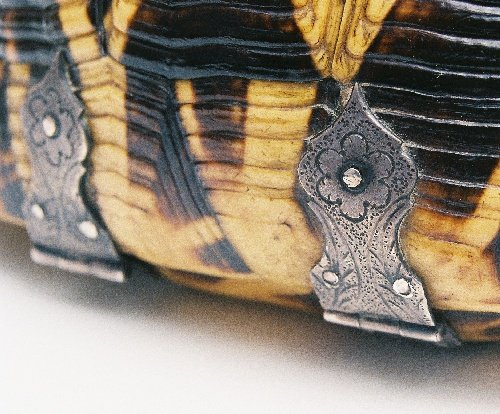 SBT 2006-34 Tortoise shell box (mounts detail)
