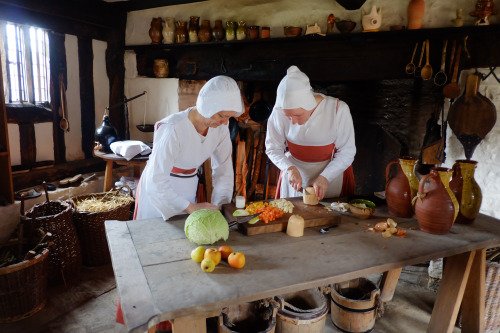 Tudor Life at MAF