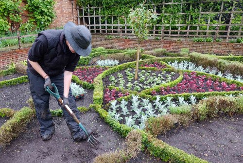 Volunteers Week 2014